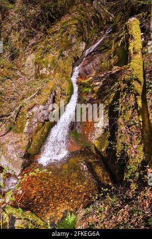 The Edelfrauengrab waterfalls near Ottenhöfen in the Black Forest, Ortenau district. Baden Wuerttemberg, Germany, Europe Stock Photo