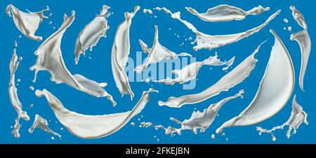 Milk splashes isolated on blue background Stock Photo