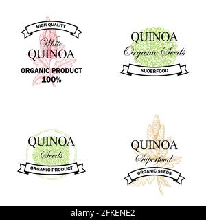 Set of quinoa vintage logo with hand drawn element. Vector illustration in sketch style Stock Vector