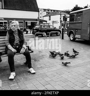 Epsom Surrey London UK, April 2021, Single Senior Woman Sitting On A Bench With Pigeons Feeding Stock Photo