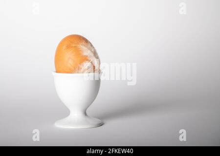 brown chicken egg in an egg cup with white feathers on white background Stock Photo
