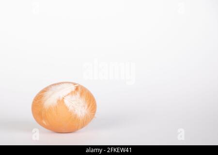 brown chicken egg with white feathers on white background Stock Photo