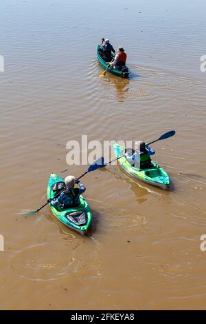 People kayaking and canoeing in the muddy waters of the Fraser River during the spring run-off of melting snow pack Steveston British Columbia Canada Stock Photo