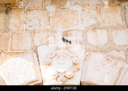 A bird sitting on the ancient wall. Stock Photo