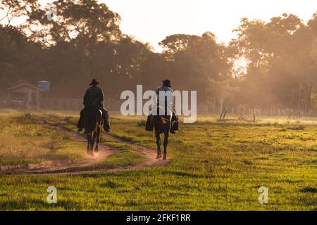 Pantaneiro cowboys riding horses at a fazenda in South Pantanal, Brazil Stock Photo