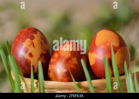 Painted Easter eggs in wooden baskets and grass in the background. The eggs are dyed with the natural color of the onion shell. Close up, selective fo Stock Photo