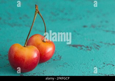 Two Yellow and Red Cherries Connected by the Stems on a Teal Table Stock Photo