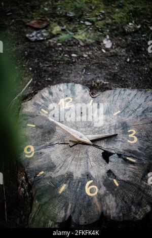 Closeup shot of a clock on a natural tree cut stump in the forest Stock Photo
