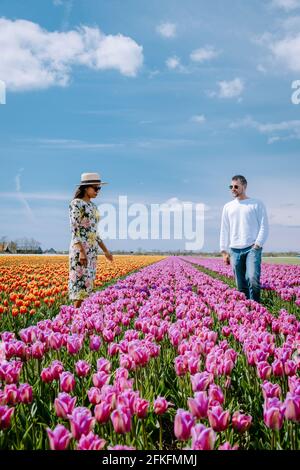 Tulip field in The Netherlands, colorful tulip fields in Flevoland Noordoostpolder Holland, Dutch Spring views in the Netherlands, couple man and woman mid age in flower field Stock Photo