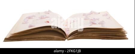 Bach flower remedies - open old book, recipe. Traditional recipe book - natural remedies. Stock Photo
