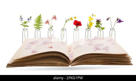 Old recipe book for herbal medicine preparation. Flower therapy Stock Photo