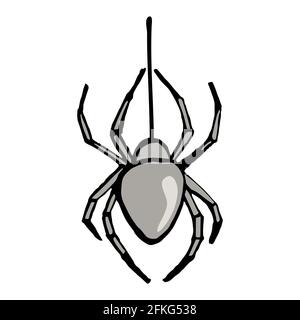 Spider on web illustration. Isolated on white background. Stock Vector