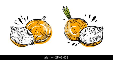 Onion whole and sliced. Vegetables symbol vector illustration Stock Vector