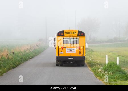 Monroe, WA, USA - April 29, 2021; Monroe School Bus drives along a rural American road on a misty Spring morning in the Snoqualmie Valley, Washington Stock Photo