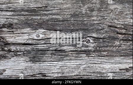 Old wood texture - gray wooden background naturally weathered Stock Photo