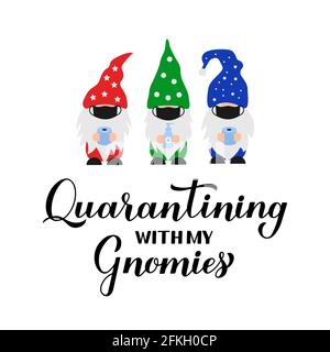 Quarantining with my gnomies. Funny quarantine quote with cute cartoon gnomes wearing masks. Coronavirus COVID-19 pandemic concept. Vector template fo Stock Vector