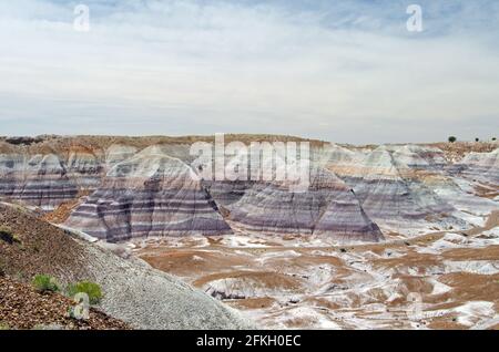 Petrified Forest National Monument Stock Photo