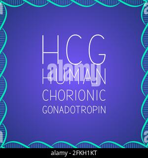 HCG typography poster. Human Chorionic Gonadotropin lettering typography poster . Vector illustration. Easy to edit template for banner, flyer, brochu Stock Vector