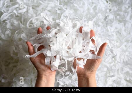 Shredded paper heap in hands, top view of many white strips. Pile of cut paper like confetti for party or box filler. Concept of recycle, waste, reuse Stock Photo