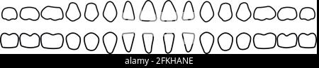 dental row Stock Vector
