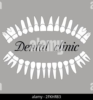 Dental clinic Stock Vector