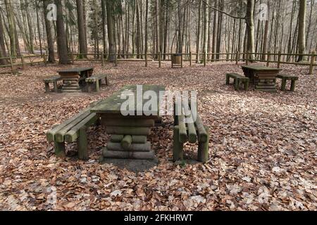 Empty wooden tables with benches in autumn forest Stock Photo