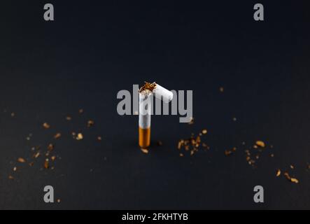 Cigarette, breaking. Smoking tobacco in rolled paper on black grunge texture background. For any smoking concepts, World No Tobacco Day or WNTD. Stock Photo
