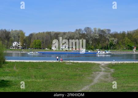 Orth an der Donau, Austria - April 24, 2021: push bandage on the danube river, a traditional way of handling heavy goods and unidentified people and m Stock Photo