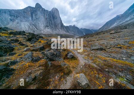 Ultrawide shot of the southwest face of Mt. Thor, highest vertical cliff on Earth, on a cloudy September day. Hiking in wild, remote arctic valley of Stock Photo