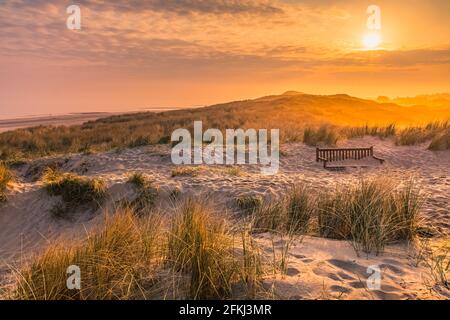 Sunrise in the dunes, with a wooden bench coverend in sand, on the Dutch Wadden island Vlieland, in the northern part of the Netherlands. Stock Photo