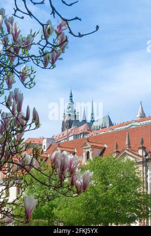 The rooftops of historical buildings of Lesser Town with towers of Prague Castle complex and Saint Vitus cathedral. Stock Photo
