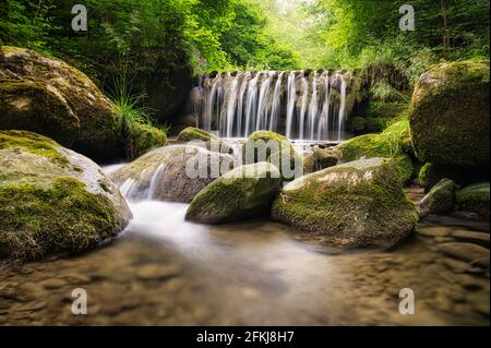 Stream in green forest with waterfall Stock Photo