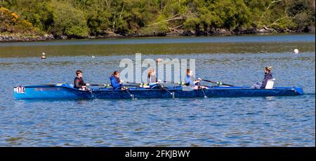Quad sculling girls learning to row or scull. Stock Photo