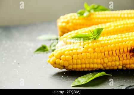 Three cobs of corn grilled on barbecue fire laid with green basil leaves and salt decoration on dark stone table. Clean eating habits concept. Backgro Stock Photo
