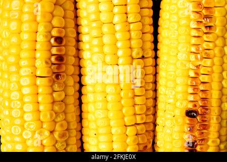 Cropped macro shot of three corncobs grilled on barbecue fire. Yellow corn cob seeds pattern with roasted parts. Clean eating habits concept. Backgrou Stock Photo