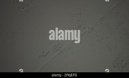 shot of white painted concrete ceiling, wide photo Stock Photo