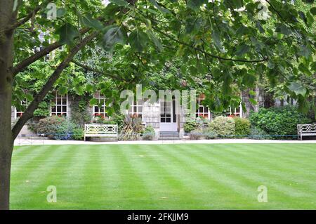 View of lawn and building facade with decorative planting from Hertford College Old Quad, Oxford, United Kingdom. Overcast Sky. Stock Photo