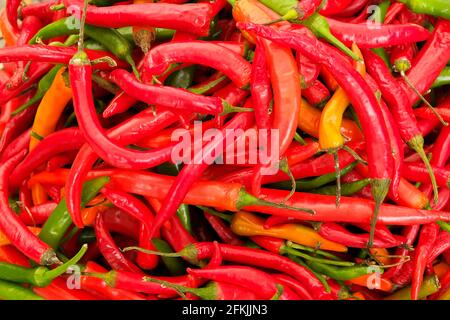 Colorful pile of mixed ripe organic hot chili cayenne italian frying peppers texture background(red, orange and green). Clean eating concept. Spicy ve Stock Photo