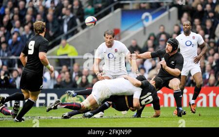 ENGLAND V NEW ZEALAND AT TWICKENHAM 21/11/09. PICTURE DAVID ASHDOWN Stock Photo