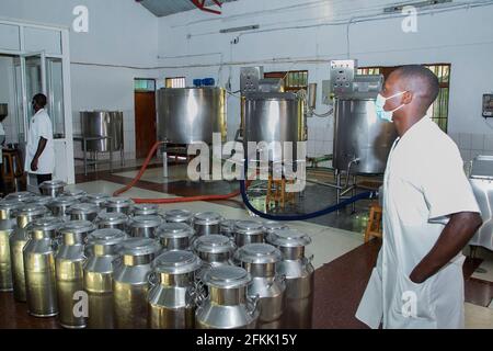 (210502) -- NYANZA, May 2, 2021 (Xinhua) -- Photo taken on April 30, 2021 shows milk processing equipment at Zirakamwa Meza Dairy in Nyanza district, about a two-hour drive from the Rwandan capital city Kigali. TO GO WITH 'Feature: From genocide widow to successful businesswoman -- Rwandan woman walking out of shadow' (photo by Cyril Ndegeya/Xinhua) Stock Photo