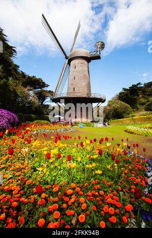 Dutch Windmill in Golden Gate Park, San Francisco Stock Photo