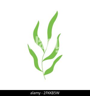 Deciduous plant. Twig with leaves. Colorful hand drawn vector illustration Stock Vector