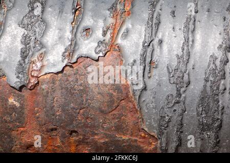 close up of black paint flaking off a metal sewerage pipe, with rusty metal showing through. Stock Photo