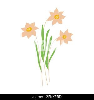 Daffodils flowers. Three narcissus flowers. Colorful hand drawn vector illustration Stock Vector