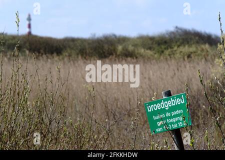 Ameland 2021, Warning sign with Dutch text:breeding area, no access outside the paths. Bird breeding area and dune nature reserve, reed collar and Stock Photo