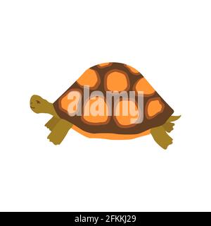 Cute happy turtle. Colorful vector isolated hand drawn illustration. Sea turtle. Amphibian from the ocean Stock Vector