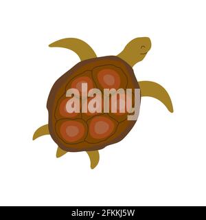 Cute turtle swims slowly. Colorful vector isolated hand drawn illustration. Sea turtle. Amphibian from the ocean Stock Vector