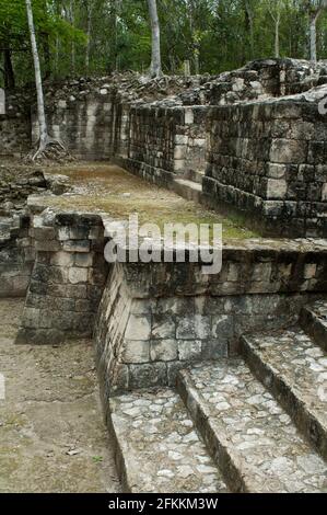 BALAMKU SIGNIFICA EN MAYA TEMPLO DEL JAGUAR  LA ZONA ARQUEOLOGICA DE BALAMKU TIENE UNA SUPERFICIE DE 1KM2 Y FUE HABITADA DESDE EL AÑO 300 ANTES DE CRI Stock Photo