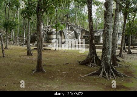 BALAMKU SIGNIFICA EN MAYA TEMPLO DEL JAGUAR  LA ZONA ARQUEOLOGICA DE BALAMKU TIENE UNA SUPERFICIE DE 1KM2 Y FUE HABITADA DESDE EL AÑO 300 ANTES DE CRI Stock Photo