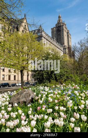 Bright Field of Blooming Flowers Near strawberry Fields , Central Park, CPW, NYC, USA, 2021 Stock Photo